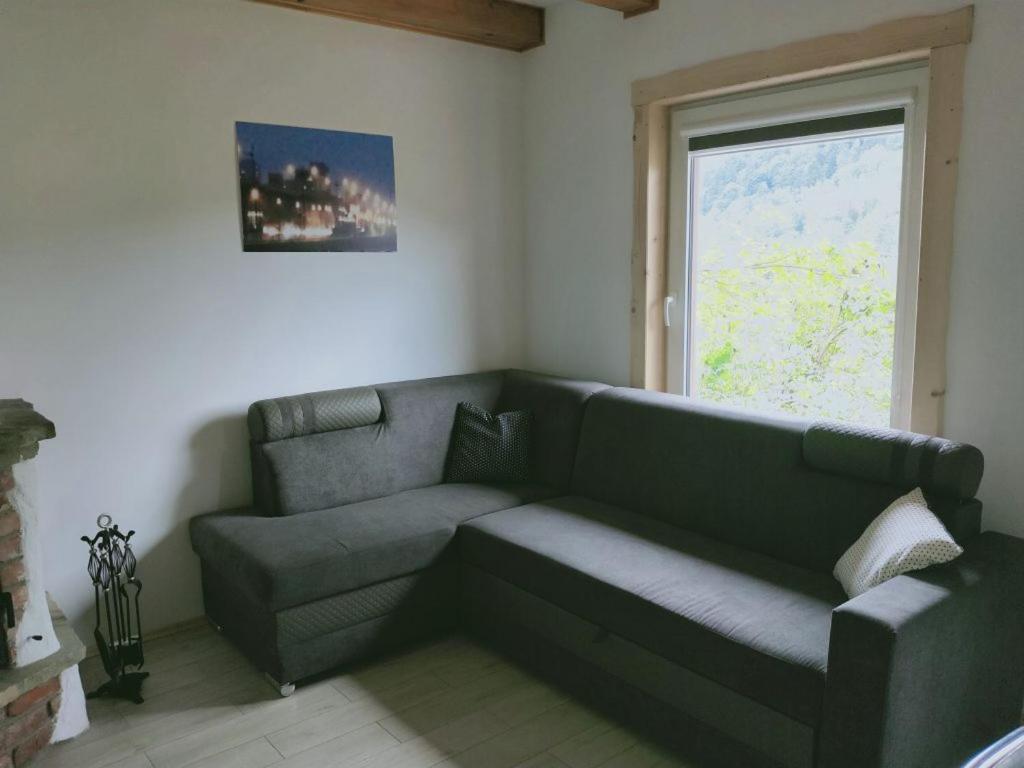 Bieszczadowy Domek Bystre  Luaran gambar